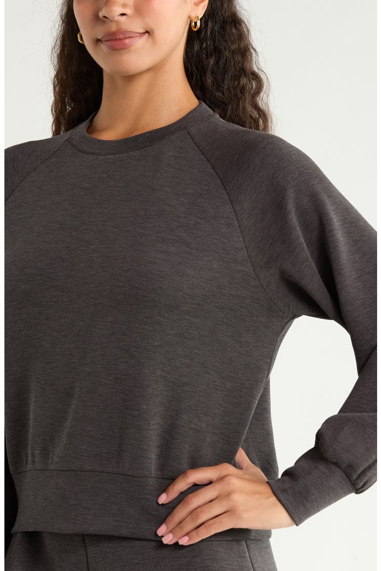 Soft Luxe Crewneck Top, Alternate, color, BROWN MOLE HEATHER
