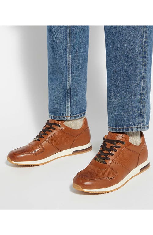 Dune London Trilogy Sneaker In Tan