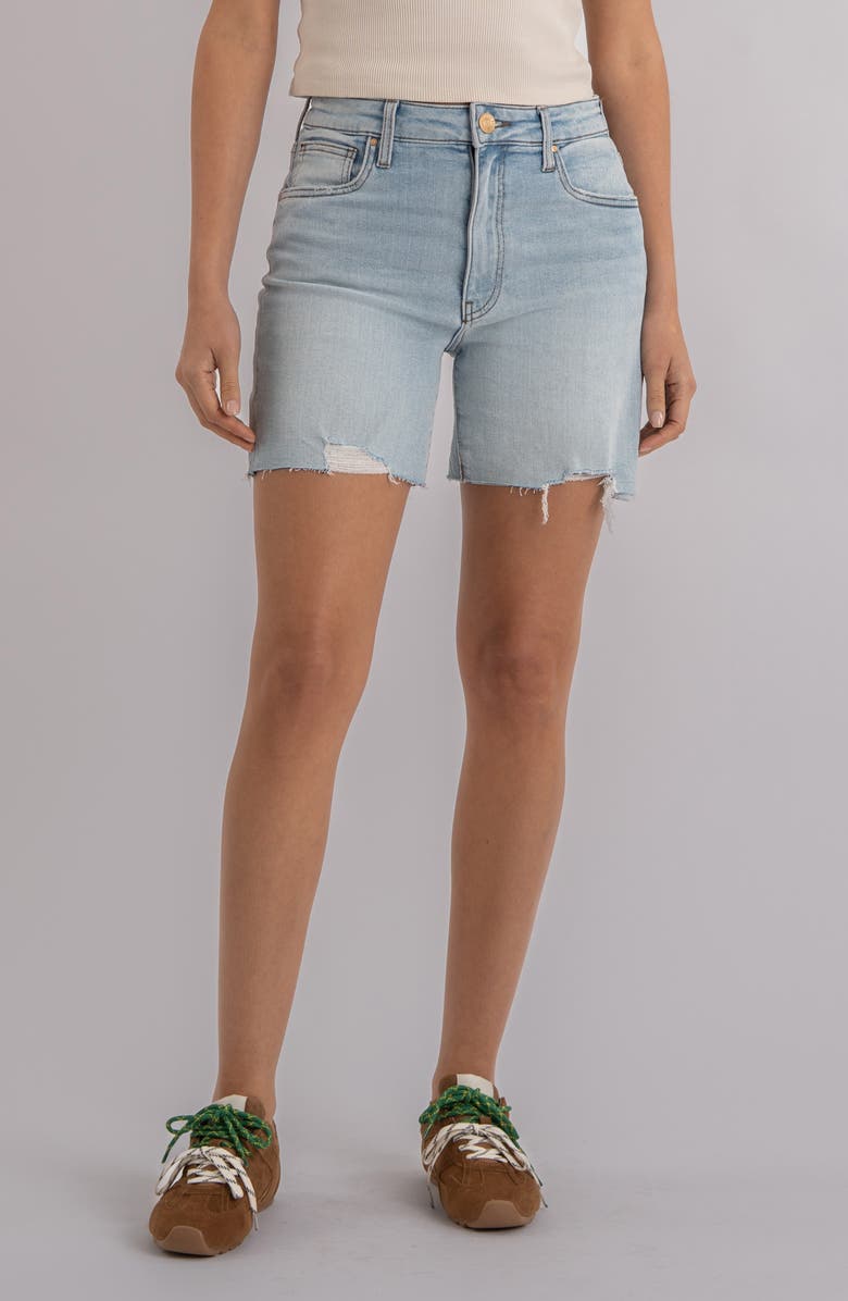 KUT from the Kloth Jenny High Waist Cutoff Denim Shorts, Main, color, Openness