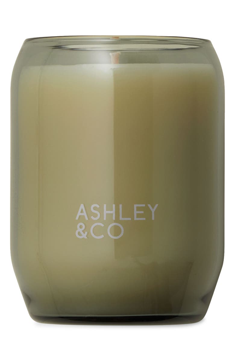 ASHLEY & CO Waxed Perfume Scented Candle, Main, color, Parakeets Pearls