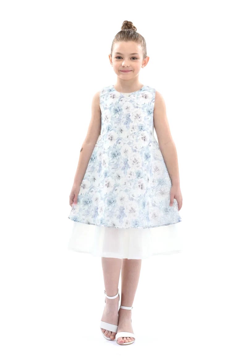 Floral Sleeveless Layered Dress, Alternate, color, Blue
