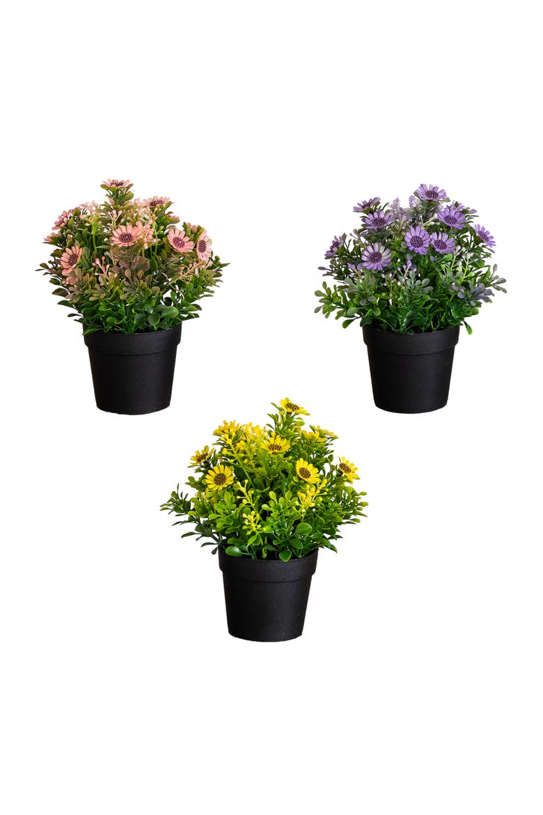 8-in Artificial Flowering Daisy in Black Pot - Set of 3, Main, color, Assorted