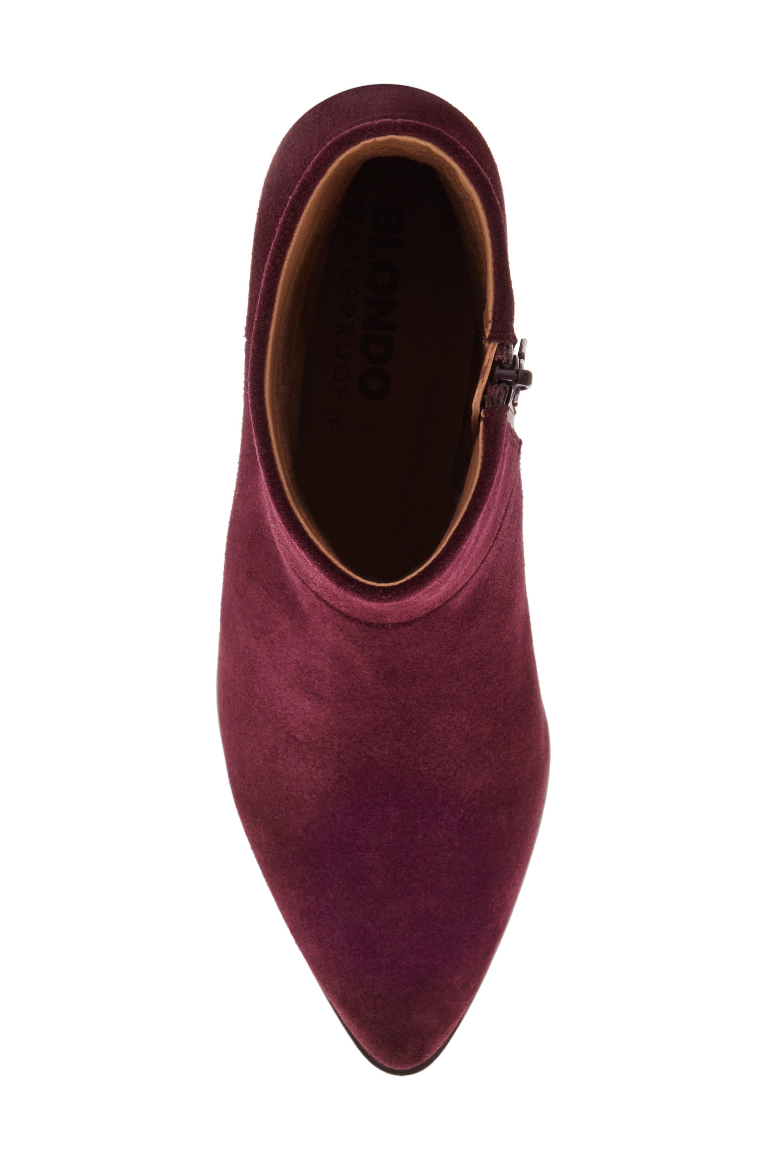 Blondo Arena Pointed Toe Waterproof Bootie, Alternate, color, Wine Suede