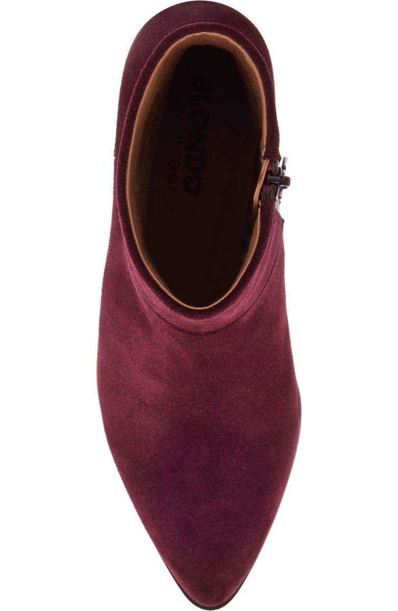 Blondo Arena Pointed Toe Waterproof Bootie, Alternate, color, Wine Suede