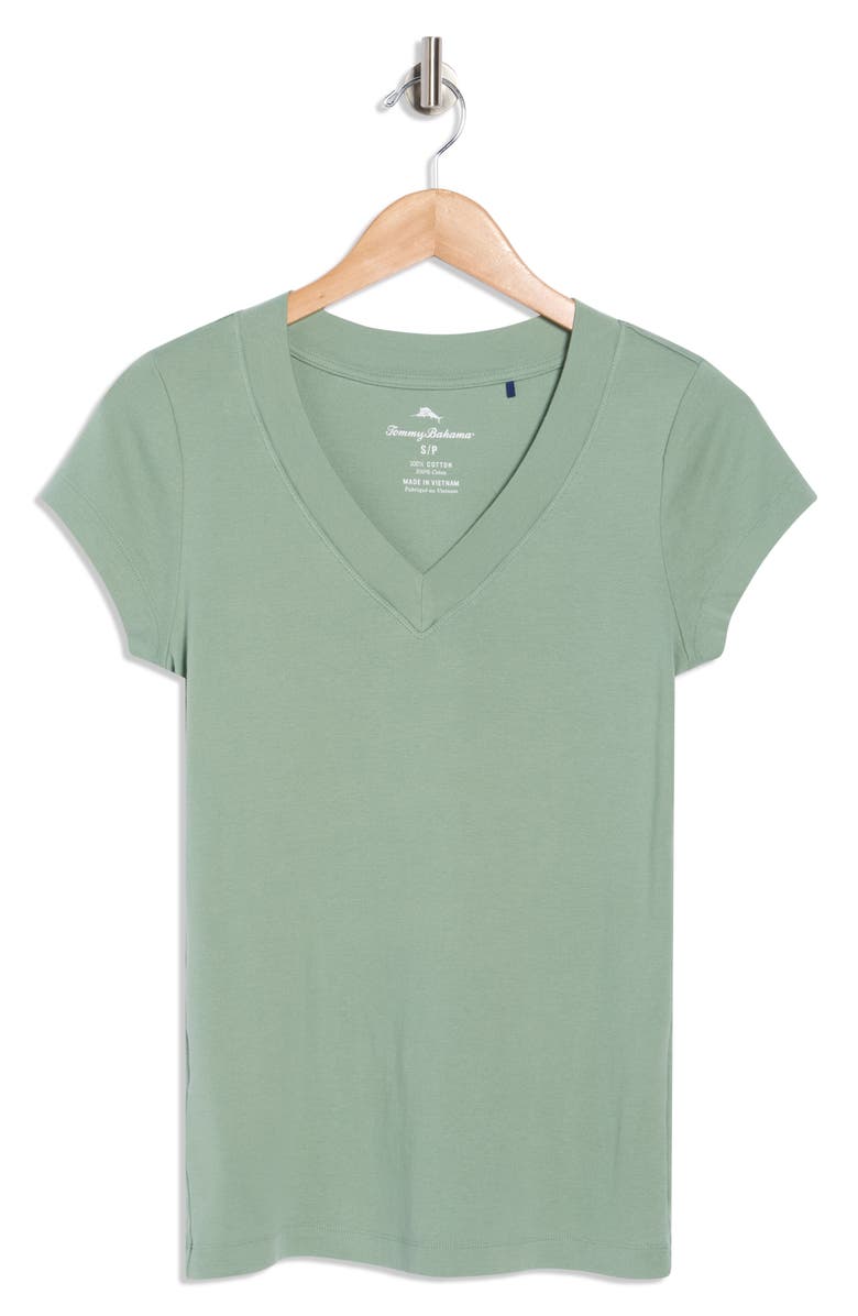 Tommy Bahama V-Neck Short Sleeve T-Shirt, Alternate, color, Tropical Fern