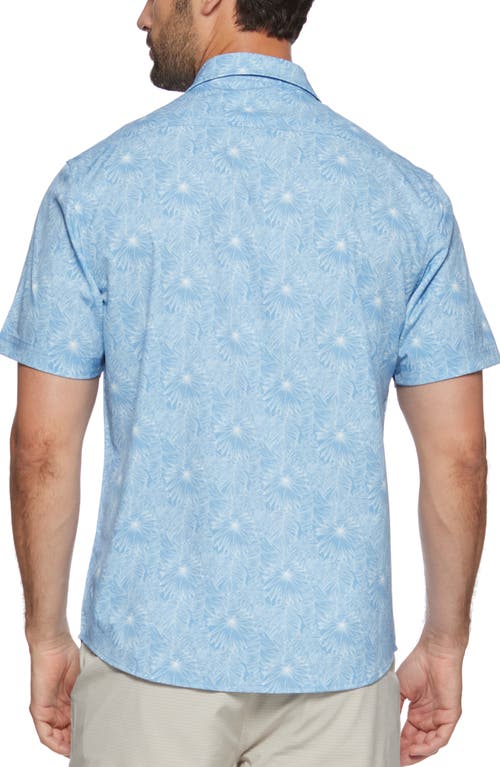 Shop Flag And Anthem Beckley Palm Print Short Sleeve Shirt In Light Blue