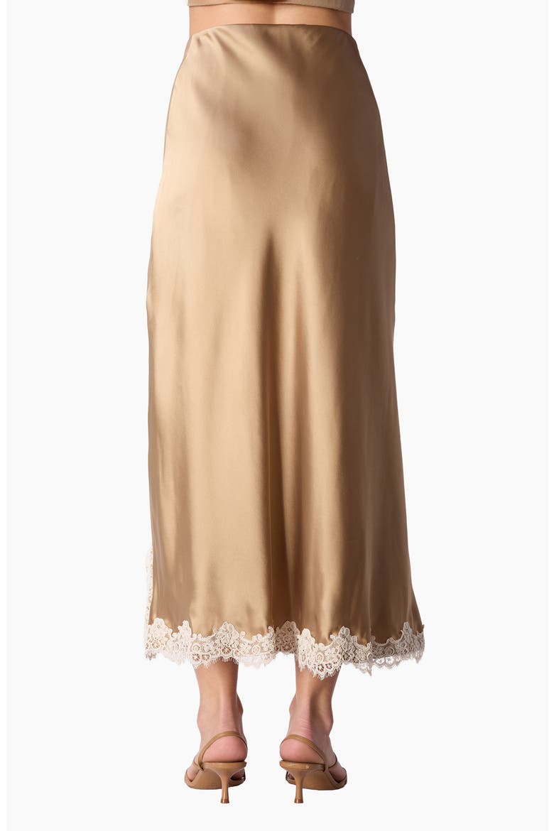Teagan Polka Dot Lace Accent Silk Maxi Skirt, Alternate, color, BIRCH