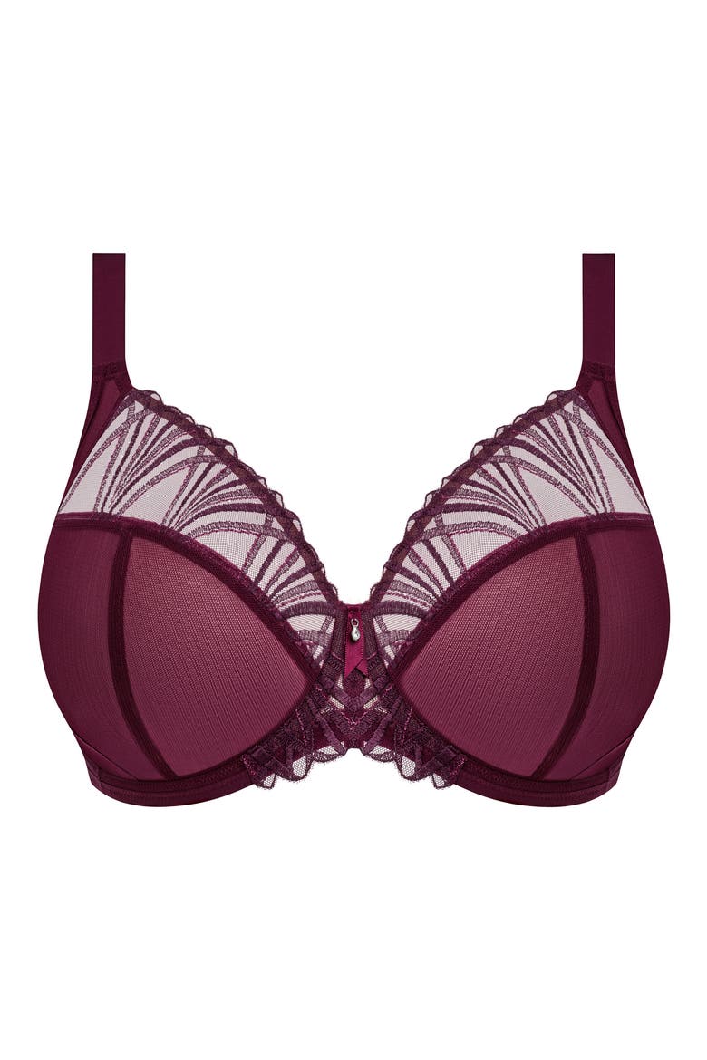Reja Underwire Plunge Bra, Alternate, color, FIG