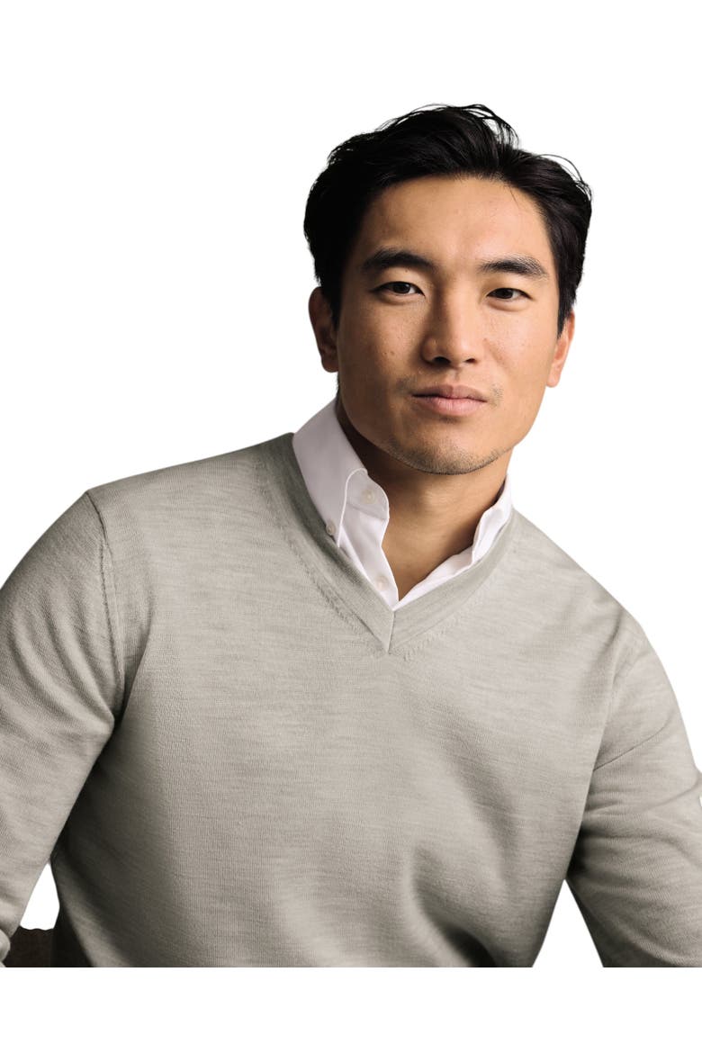 Merino V-Neck Sweater, Alternate, color, Stone