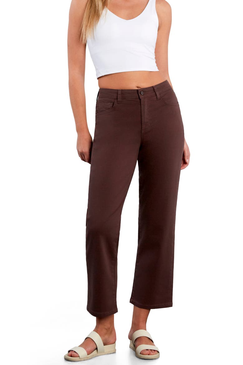 Ankle Straight Leg Jeans, Alternate, color, DARK CHOCOLATE