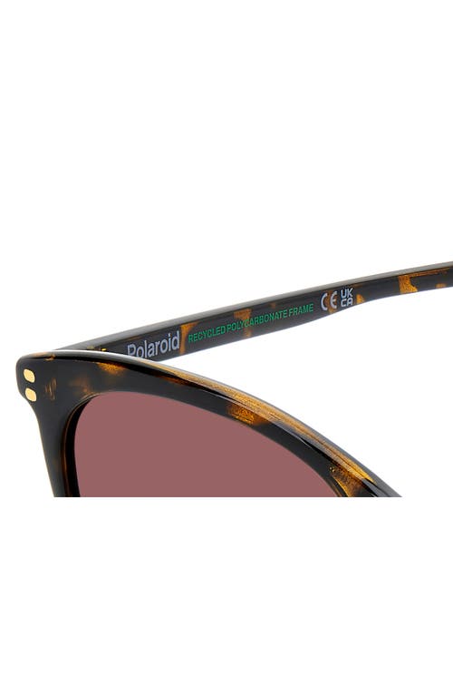 POLAROID POLAROID 55MM POLARIZED CAT EYE SUNGLASSES