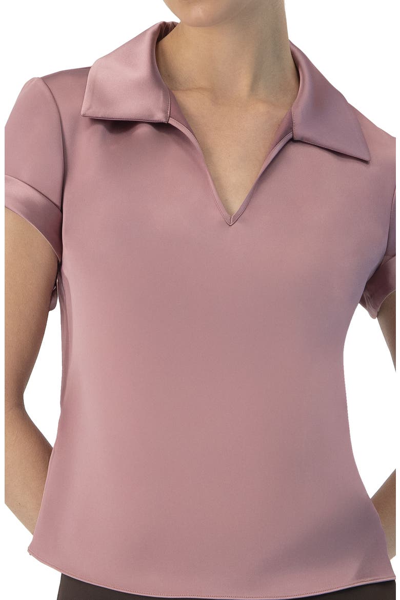 Plain Short Sleeve Blouse with Shirt Collar, Alternate, color, Dark Pink