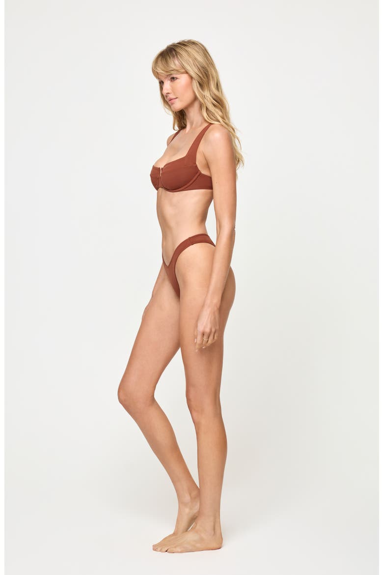 Donnie Bitsy Swim Bottoms, Alternate, color, TOBACCO