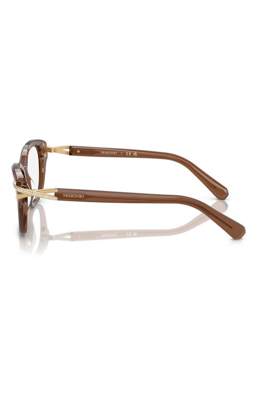 Swarovski 54mm Pillow Optical Glasses In Transparent
