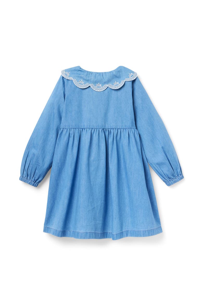 Chambray Embroidered Collar Dress, Alternate, color, Blue