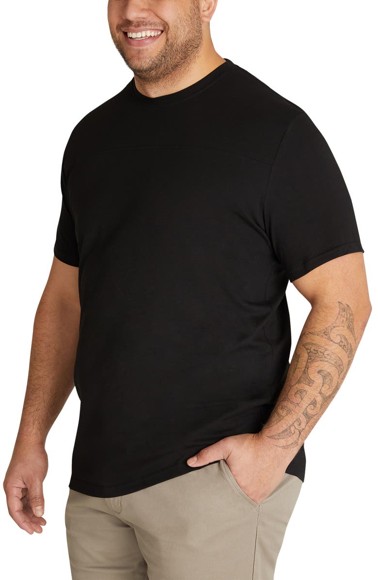 Johnny Bigg Essential Panel T-Shirt, Alternate, color,