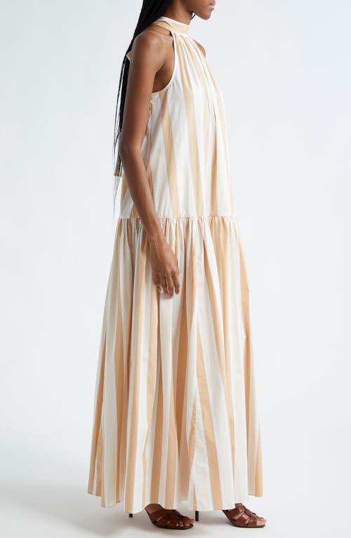 Staud Stripe Cotton Sundress In Sand Stripe