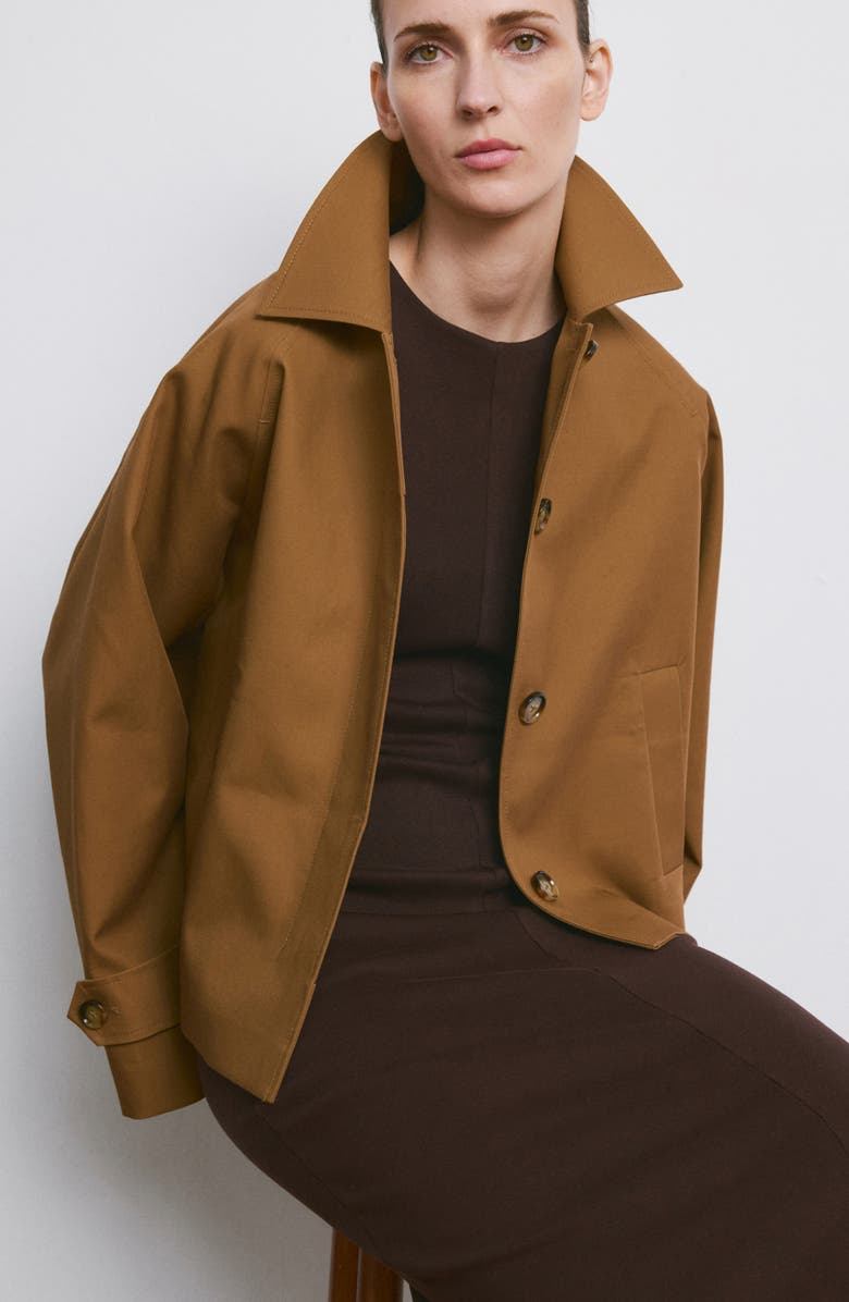 MANGO Cotton Jersey Midi Dress, Alternate, color, 