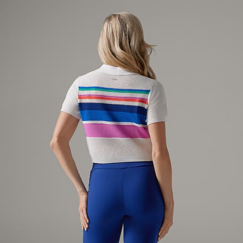 Tavi Prep Polo Sweater In Multi