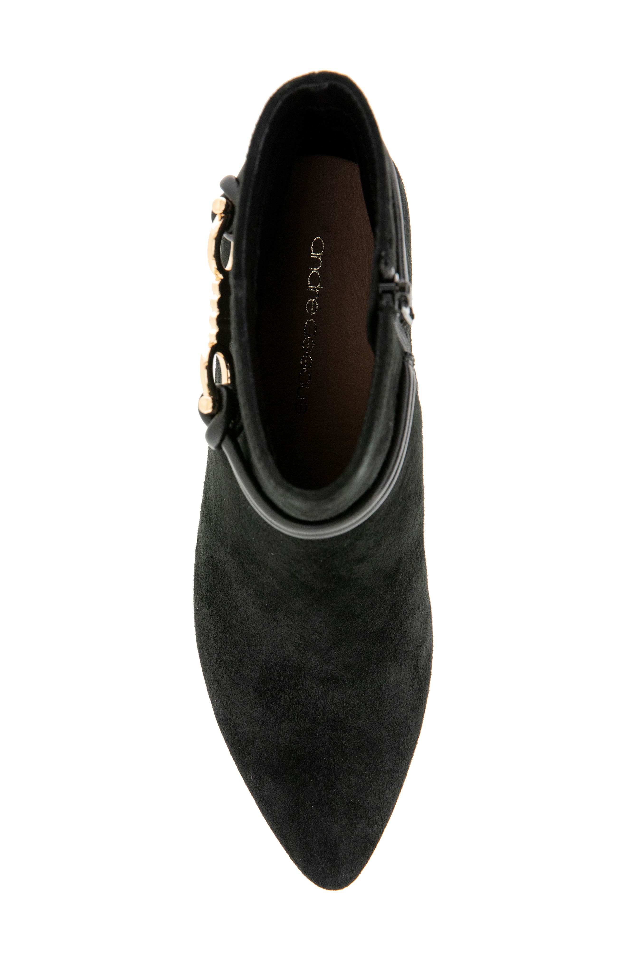 Wrenna Pointed Toe Bootie, Alternate, color, BLACK SUEDE