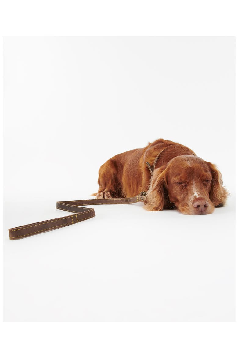 Leather Dog Leash, Alternate, color, CLASSIC TARTAN