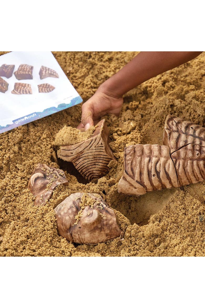 Magnetic Fossil 3D Puzzle - Trilobite - 6 Pieces, Alternate, color, Multicolor