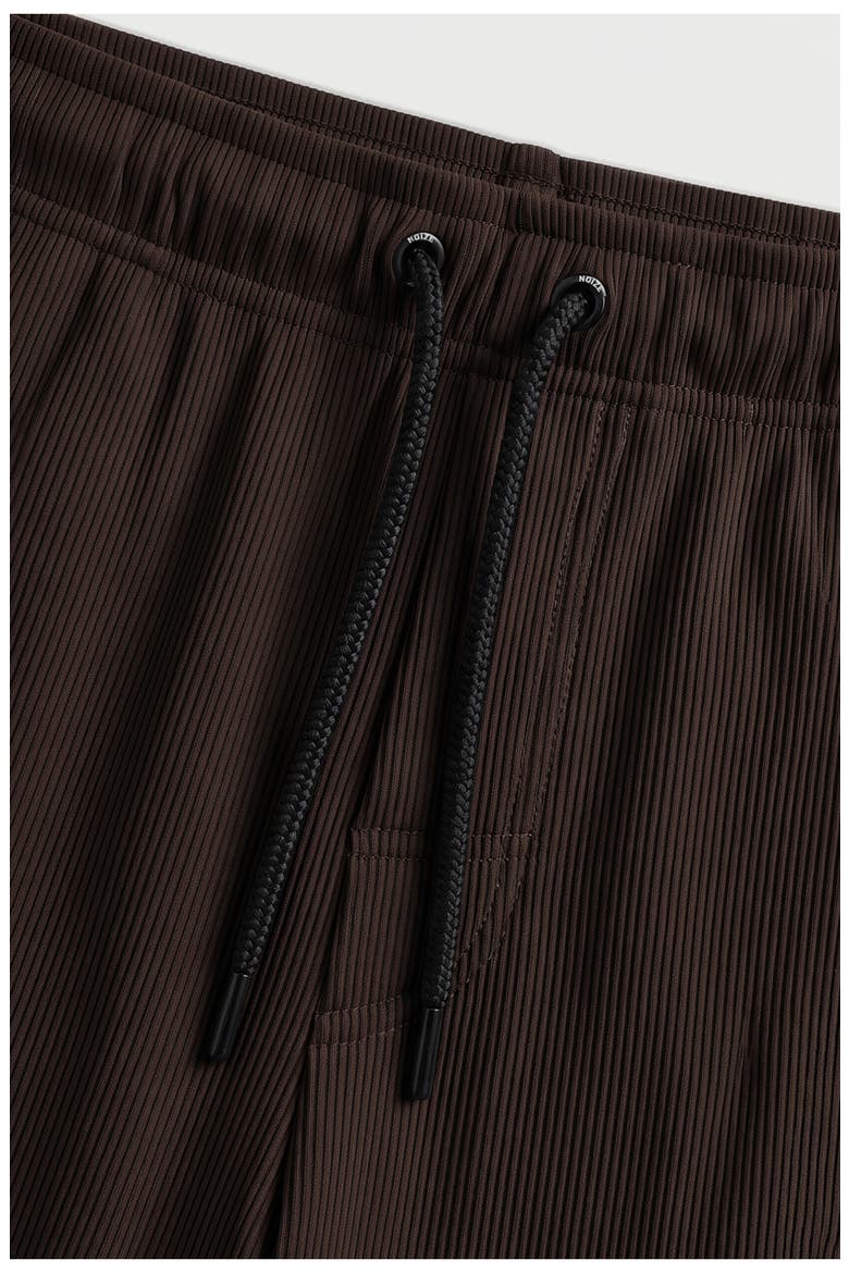 Richie Ribbed Drawstring Shorts, Alternate, color, CHOCOLATE