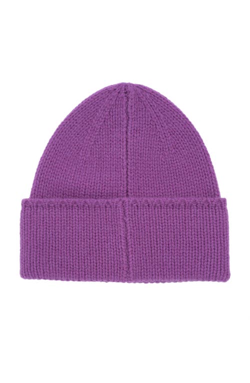 Polo Ralph Lauren Pony Beanie In Pink