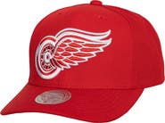 Mitchell & Ness Men's Mitchell & Ness Red Detroit Red Wings Team Ground Pro Adjustable Hat
