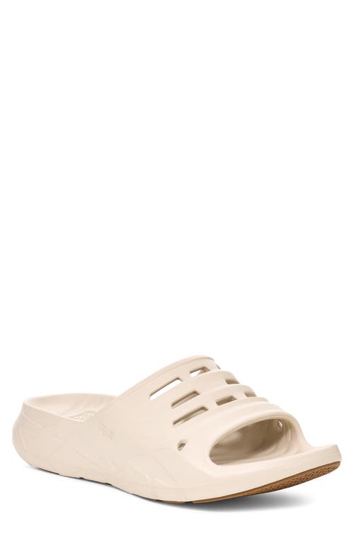 Teva Apretrail Slide Sandal In Birch