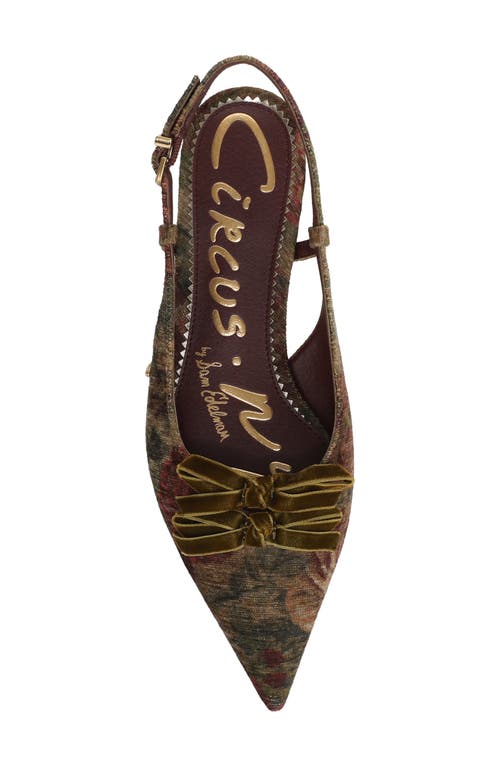 Circus Ny By Sam Edelman Delanie Pointed Toe Slingback Flat In Multi