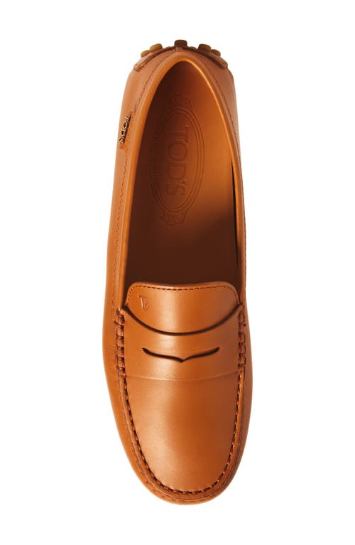 Tod's Gommino Driving Shoe In Brown