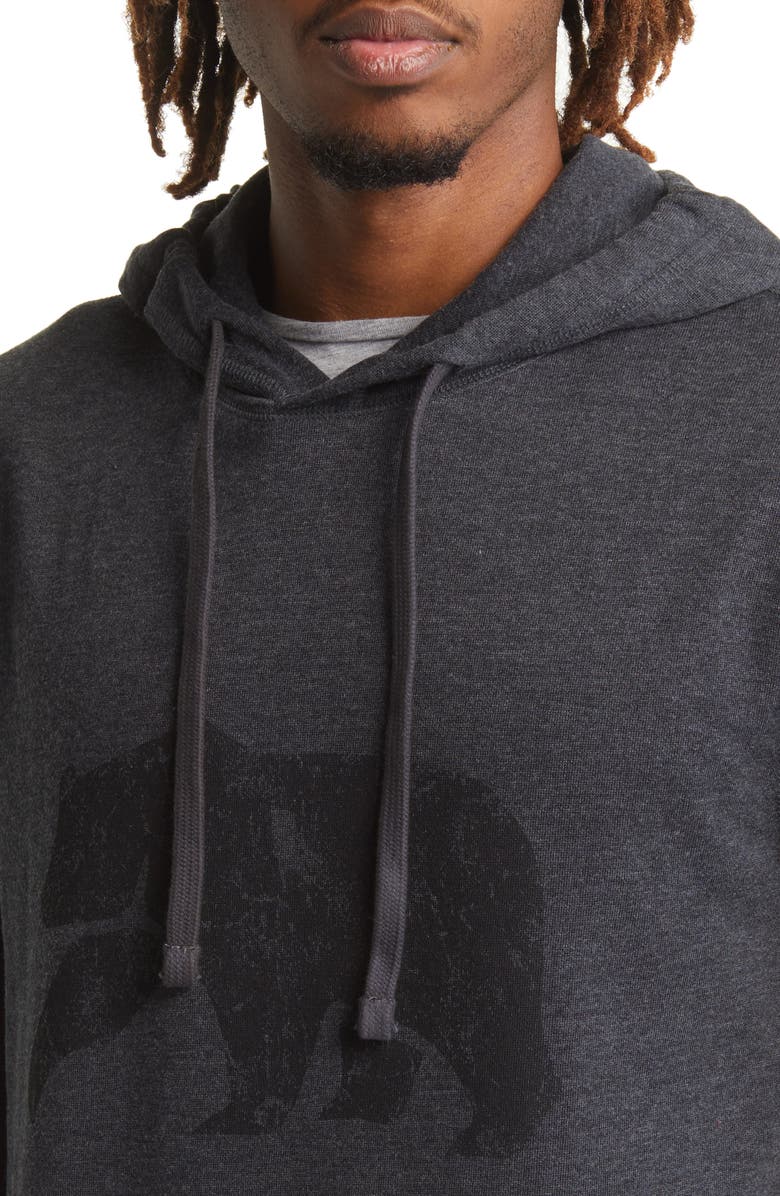 The Normal Brand Mountain Bear Logo Fleece Hoodie, Alternate, color, 