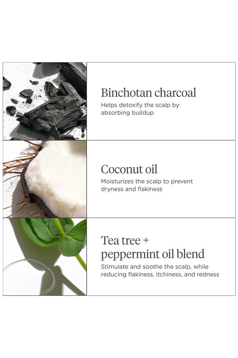 Scalp Revival Charcoal + Biotin Dry Shampoo, Alternate, color, NO COLOR