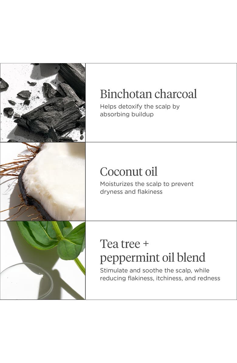 Briogeo Scalp Revival Charcoal + Biotin Dry Shampoo, Alternate, color,