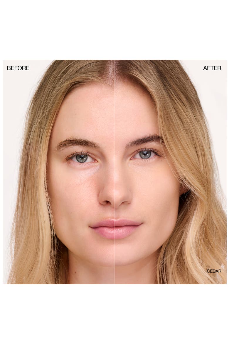 Complexion Perfecting Concealer, Alternate, color, CEDAR