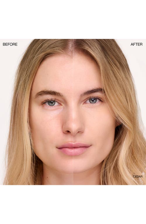 Ogee Complexion Perfecting Concealer In Brown