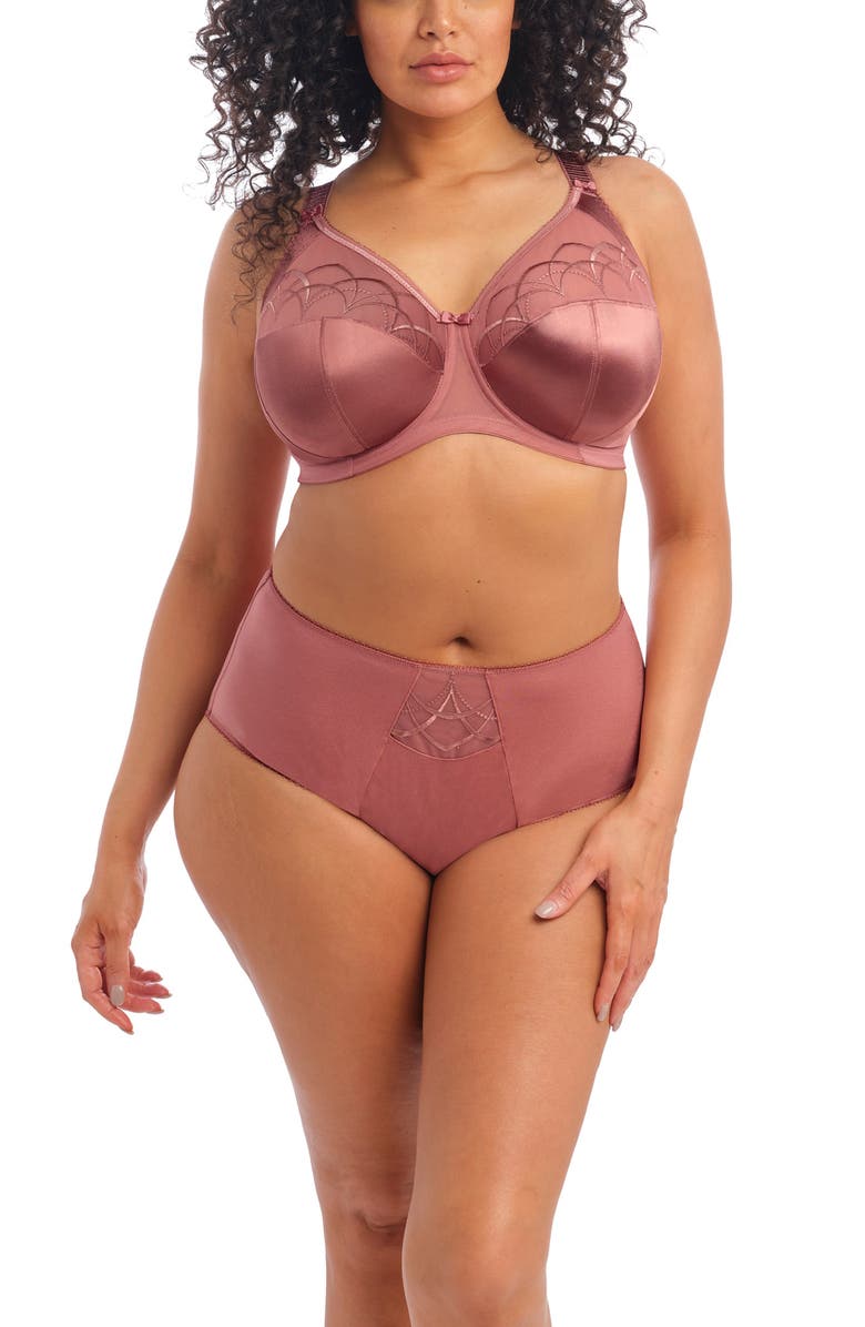Elomi Cate Full Figure High Waist Briefs, Alternate, color, Rosewood