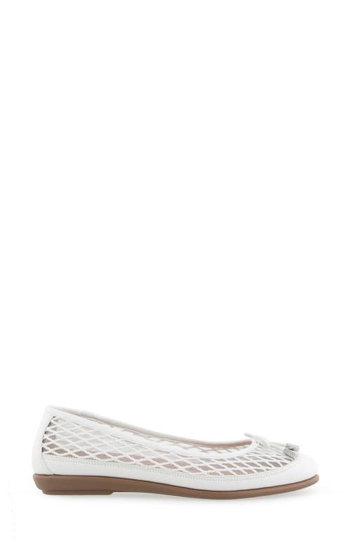 AEROSOLES AEROSOLES BRIA BALLET FLAT