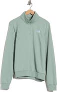 The North Face Evolution Simple Dome Quarter Zip Pullover