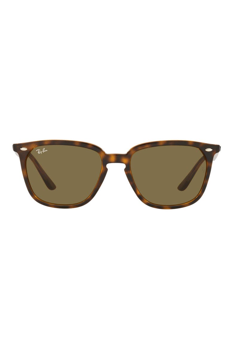 55mm Round Sunglasses, Main, color, HAVANA/ DARK BROWN