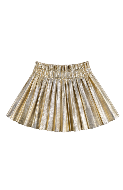 Foil Pleated Skirt