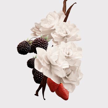 'Burberry Her Elixir de Parfum