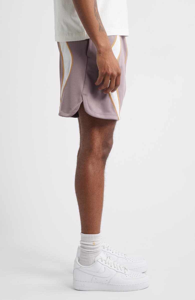 Nike Project F.R.O.G. Shorts, Alternate, color, Taupe Grey/ White/ Sundial