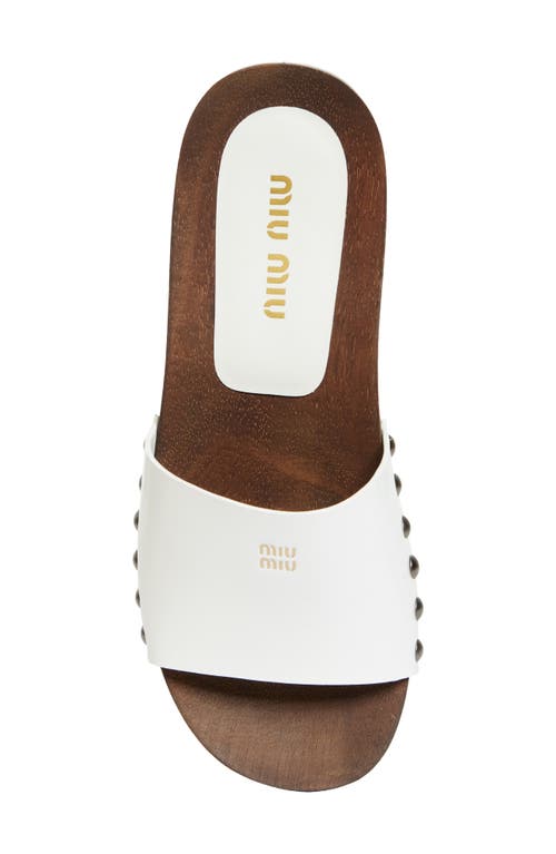 Shop Miu Miu Clog Slide Sandal In Bianco