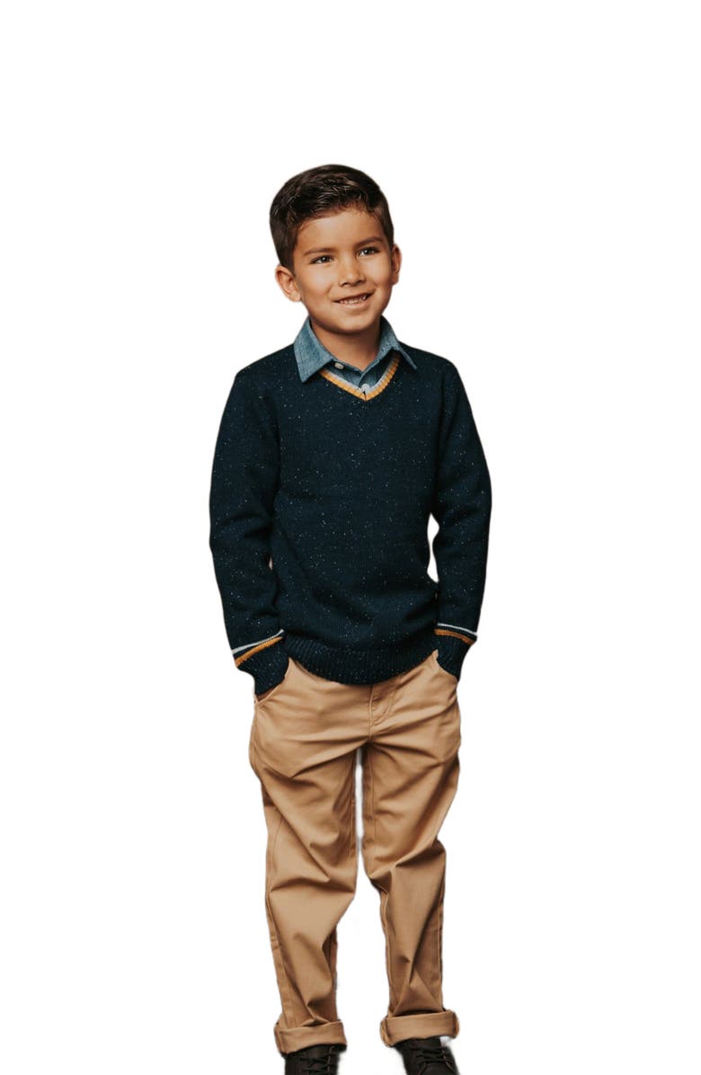 Hope & Henry Boys' Organic V-Neck Sweater, Kids, Main, color, Navy Fleck With Tipping