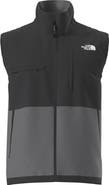 The North Face Retro Denali Vest