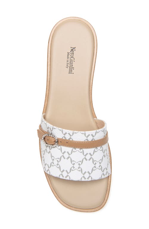 Nerogiardini Logo Slide Sandal