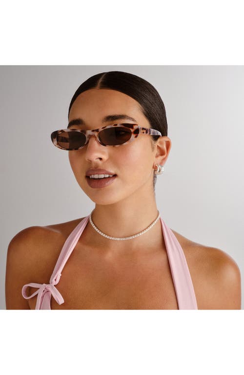 Aire Avior 53mm Cat Eye Sunglasses In Cookie Tort/brown Mono