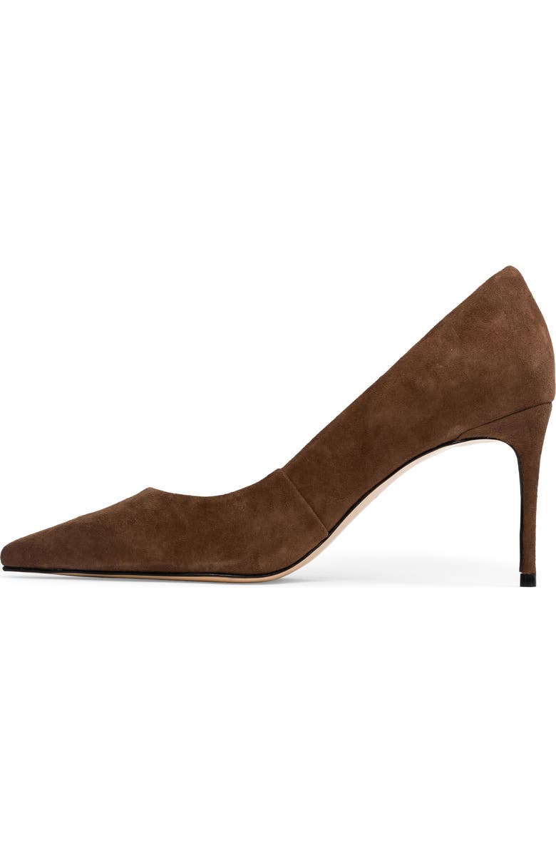 BLACK SUEDE STUDIO Amaya Pointed Toe Pump, Alternate, color, Brown